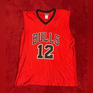 NBA Chicago Bulls Kirk Hinrich Jersey